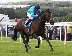 Brown Panther