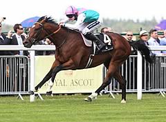 Frankel