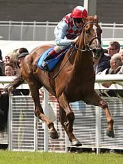 Red Cadeaux