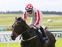 Slade Power