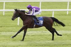 Ten Sovereigns