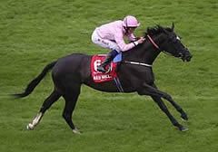 The Fugue