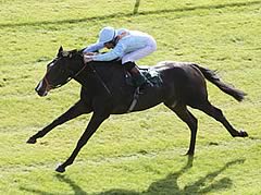 Toormore