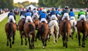 Grand National 