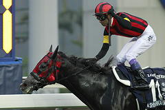 A Shin Hikari