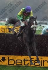 Kauto Star