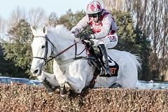 Smad Place