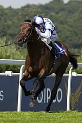 Al Kazeem