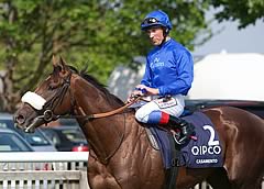 Godolphin