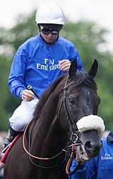 Cavalryman