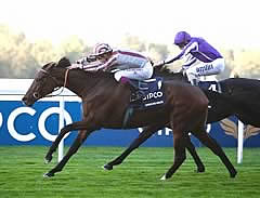 Cirrus des Aigles