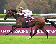 Cirrus Des Aigles