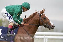 Decorated Knight