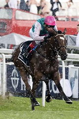 Enable