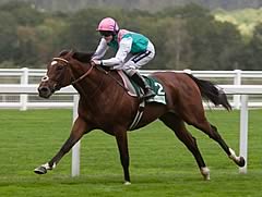 Frankel