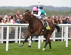 Frankel