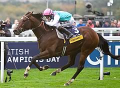 Frankel