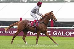 Galileo Gold