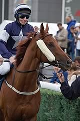 Medicean Man