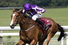 Minding and Ryan Moore