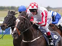 Sole Power