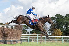 Frodon