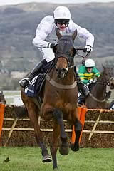 Smad Place