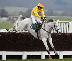 Neptune Collonges