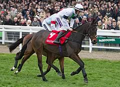 Sire De Grugy