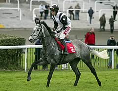 Quentin Collonges