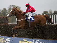 Sire De Grugy