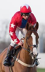 Sire De Grugy