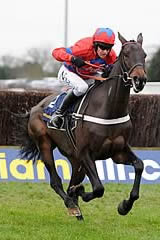 Sprinter Sacre 