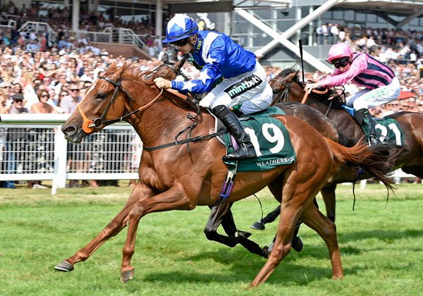 Ginger Nut takes the £250,000 Weatherbys Super Sprint under Harry Bentley