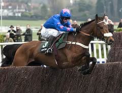 Cue Card