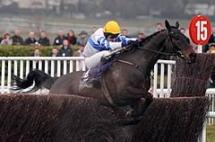 Knockara Beau