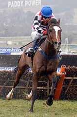 The Giant Bolster