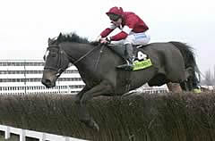 War of Attrition and Conor O`Dwyer winning the Cheltenham Gold Cup in fantastic style