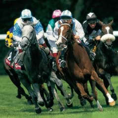 Goodwood Racing