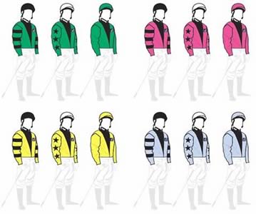 2013 Dubai Duty Free Shergar Cup Silks;2013 Dubai Duty Free Shergar Cup Silks