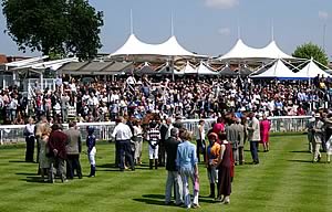 York racecourse