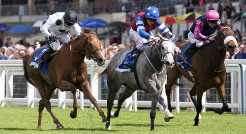racehorsephotos.co.uk
