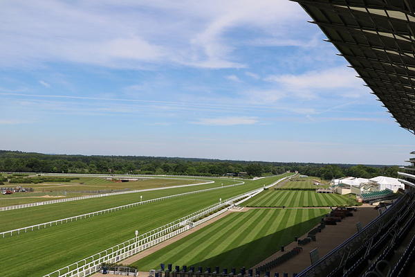 Ascot Racecourse