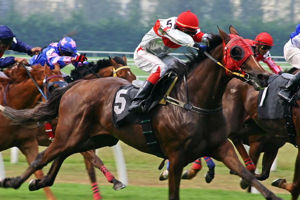 horseracing