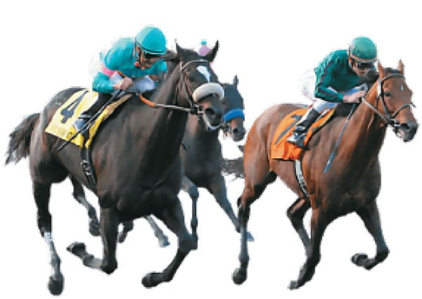 Vitual Horse Racing