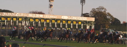 Japan Cup