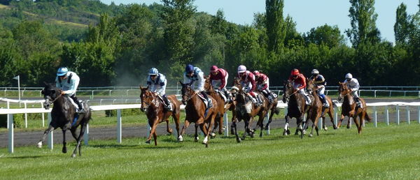 horse race