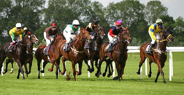 horse race