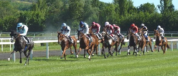 horse race