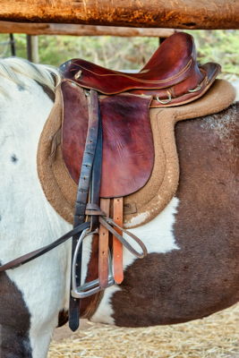 Sheep Skin Saddle Pads